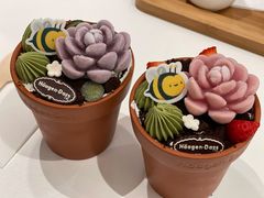 -哈根达斯(龙湖时代天街店)