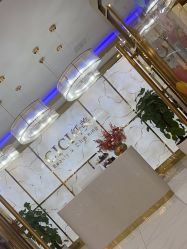 -CICI纤美·科技减肥美容