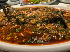 -院8里·小聚园老川菜(九眼桥店)