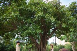 点击看大图 -巴黎新娘婚纱摄影·婚礼策划(嘉定总店)