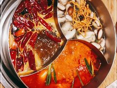 -青瓷火锅料理(西单大悦城店)
