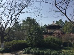 -走马楼饭庄(慈城古县城店)