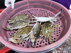 -妈妈菜舟山海鲜(定海古城店)