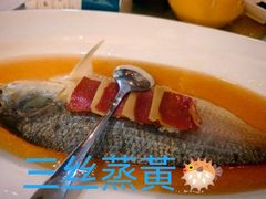 -老洋房花园饭店(绍兴路店)