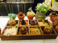 -恋暖初茶(万菱汇店)