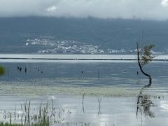 -大理洱海