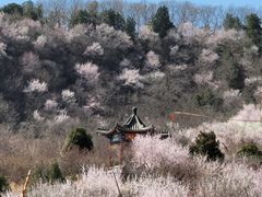 -北京西山国家森林公园