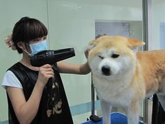 -美联众合爱康动物医院•复杂内科•肿瘤科•牙科•腔镜诊疗中心