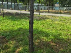 -秦皇岛野生动物园