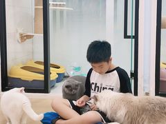 -1013 PET SHOP 宠物商店(近铁城市广场店)