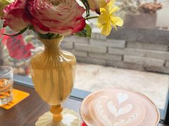 -树咖啡tree coffee