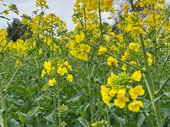 -樱桃山旅游景区