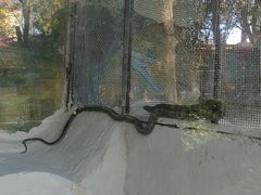 -昆明动物园