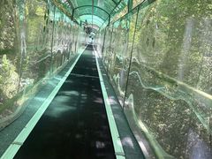 -灵栖洞天
