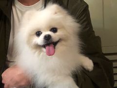 -宠颐生嘉德动物医院