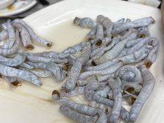 -牛排王糟粕醋火锅(海甸分店)