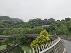 -福道