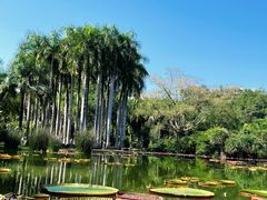 -中国科学院西双版纳热带植物园