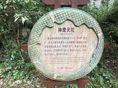 -重庆武隆天生三桥风景区-神鹰天坑
