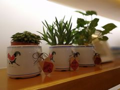 -十二舍·湯物素煮(江泰潤政店)