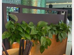 -江渔儿酸菜鱼(曜一城店)