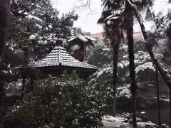-叶家花园