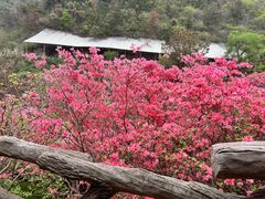 -木兰云雾山