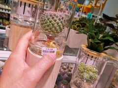 -KKV(深圳宏发大仟里店)