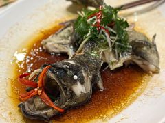 -德胜轩正宗顺德菜(宝安沙井会展中心店)