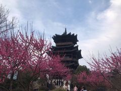 -杭州半山国家森林公园