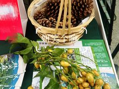 -云溪植物园