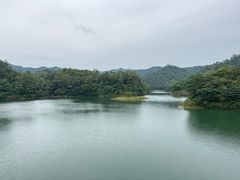 -佛山市三水区大南山森林公园