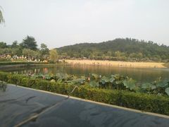 -南京银杏湖乐园