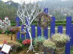 -龙环葡韵住宅式博物馆