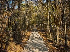 -南京金牛湖风景区