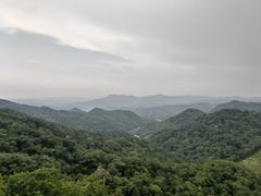 -天女山森林公园