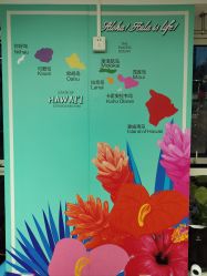 -呼拉汇舞蹈生活馆 Hawaii Hula&Tahiti Dance Studio