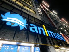 -Animate(秋叶原本馆)