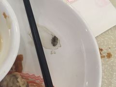 -螺涌海鲜酒楼(增槎路店)