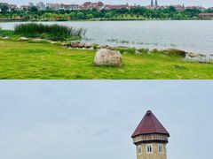 -九龙湖公园