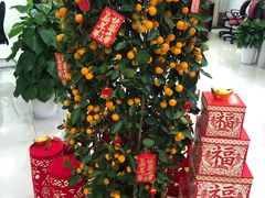 -中国银行(上海市五角场支行)