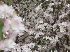 -天津东丽湖风景区