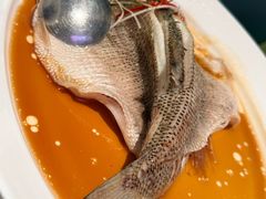 -眉州东坡·熊猫主题餐厅(枫蓝店)