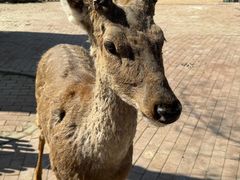 -水上乐园·欢乐世界