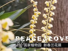 -北京植物园-展览温室