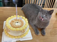 -CAKE WANG千层制造所(省府店)