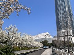 -南京眼步行桥