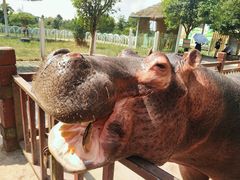 -贵州森林野生动物园