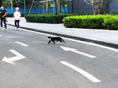 -招商银行(北京青年路支行)