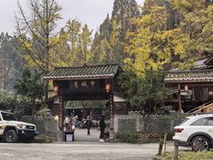 -青城甲(青城山店)